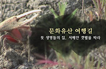 24편 뭇생명들의 집서 해안 갯벌을 따라