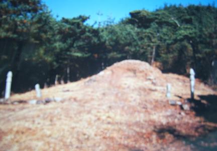 창녕 박부 묘