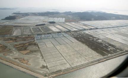 항공사진